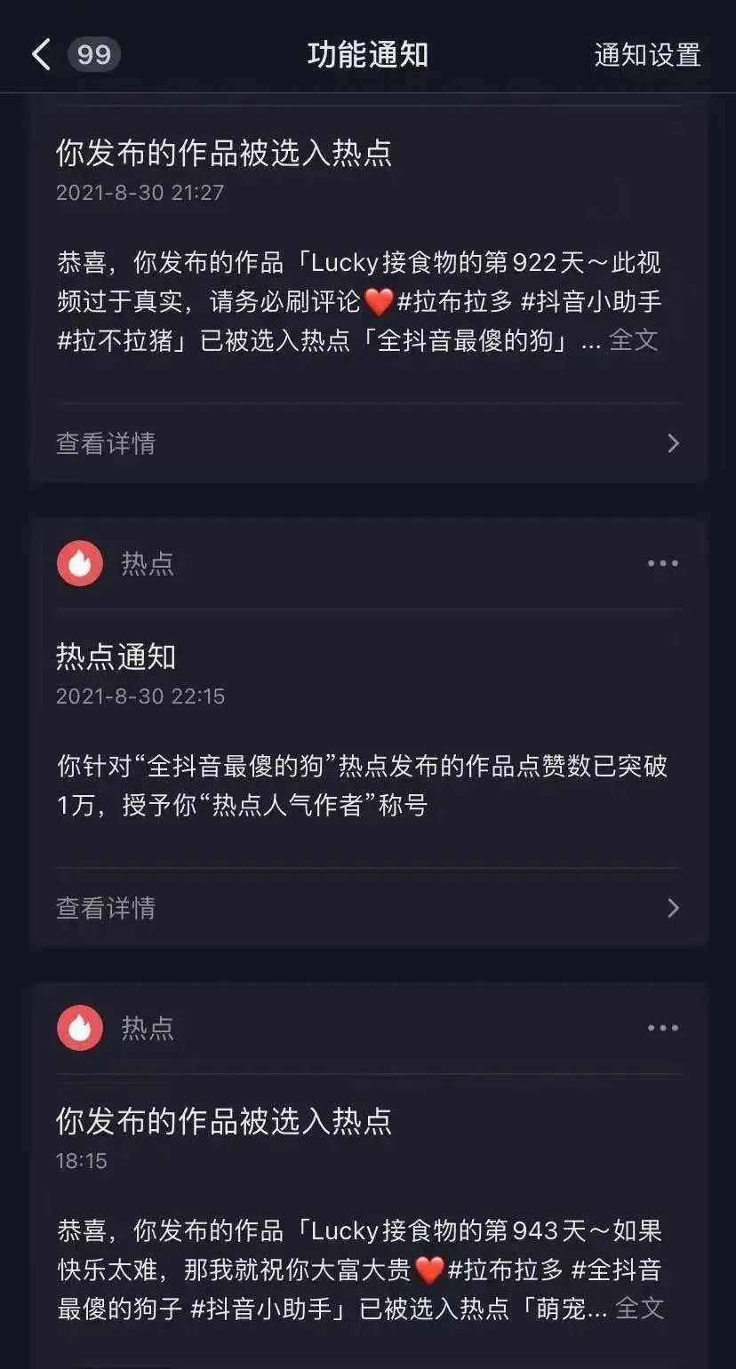 三天涨粉百万，一条“傻狗”走红全网！粉丝：给狗子配副眼镜吧