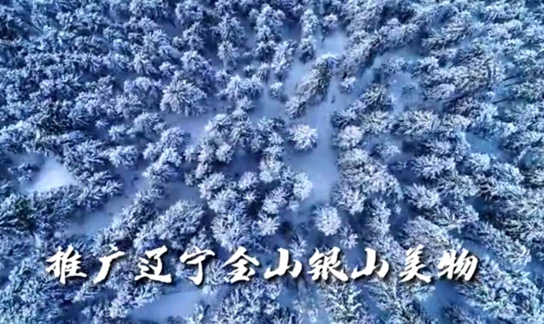 辽宁冰雪文化视频|